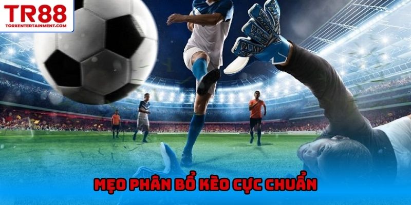 Mẹo phân bổ kèo cực chuẩn
